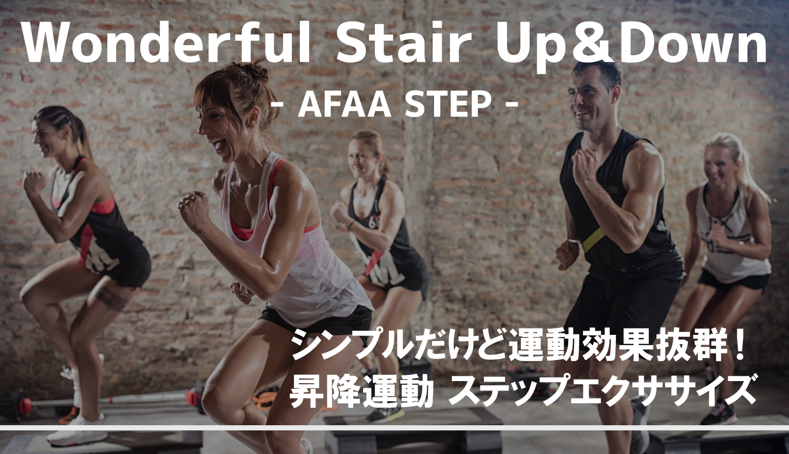 指導者用DVD フィットネス　ステップ　指導者用　19枚 AFAAフィットネス指導者ライセンス ラインナップ | JWIの